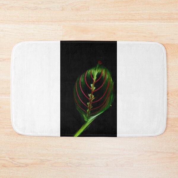 Item preview, Loner leaf  designed and sold by Kaurjas.