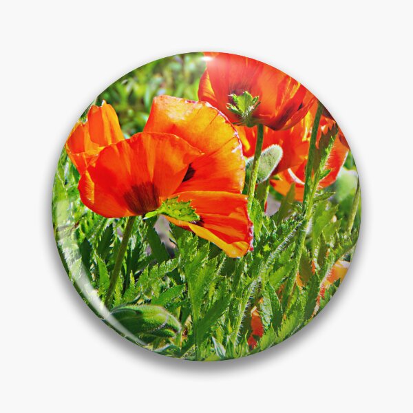 Item preview, A Papaver colour festival designed and sold by jchanders.