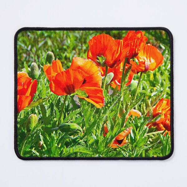 Item preview, A Papaver colour festival designed and sold by jchanders.