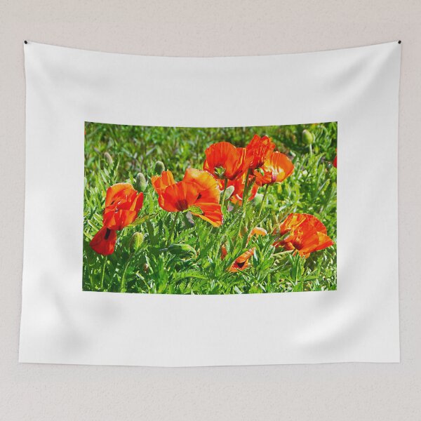 Item preview, A Papaver colour festival designed and sold by jchanders.
