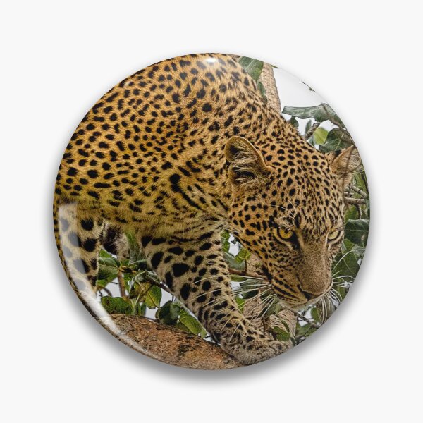 Item preview, Leopard On the Move designed and sold by Kay Brewer.