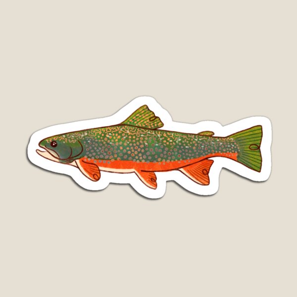 Item preview, Brook Trout designed and sold by mksal.