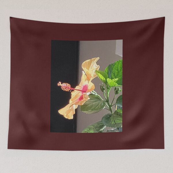 Aperçu de l'œuvre Magnifique hibiscus diva disco. créée et vendue par Agift4u.