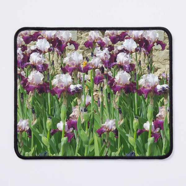 Item preview, irises, stems, leaves, bricks, seedlings, floral print designed and sold by Maria Mihailova.