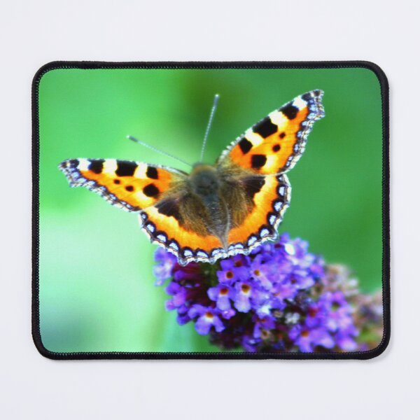 Item preview, Small Tortoiseshell Butterfly in the garden designed and sold by MartinPhotos.