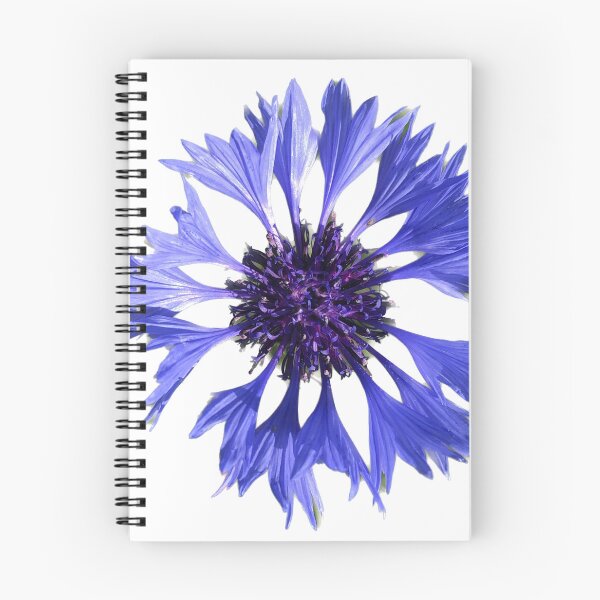 Item preview, Cornflower designed and sold by sonaadalian.