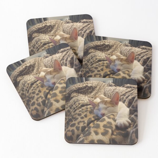 Item preview, #280 |☼| Marley's Stretched-Out Sleep (Cats) designed and sold by Naean H.F. (Nez Man).