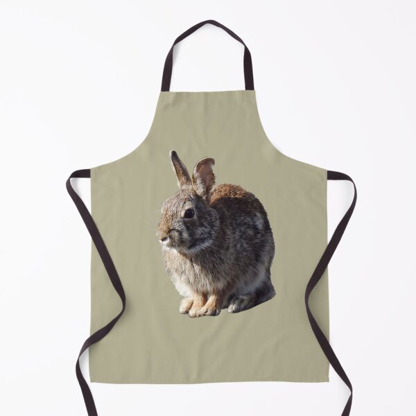 Item preview, Rabbit Sitting designed and sold by Susan Savad.