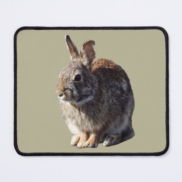 Item preview, Rabbit Sitting designed and sold by Susan Savad.