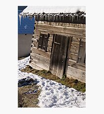 Hibernation Photographic Print