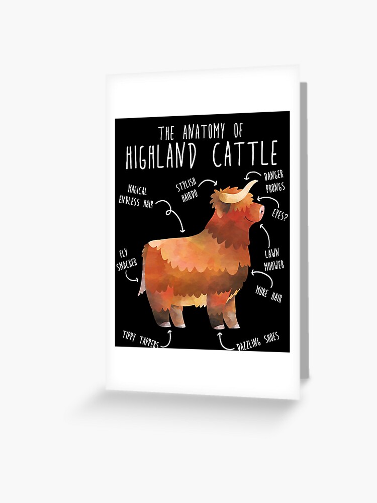 Anatomie de la vache Highland Carte de v ux