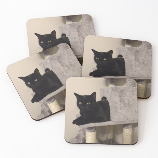 Item preview, #281 |☼| Alfie In The Arch - Shot 1 (Cats) designed and sold by Naean H.F. (Nez Man).