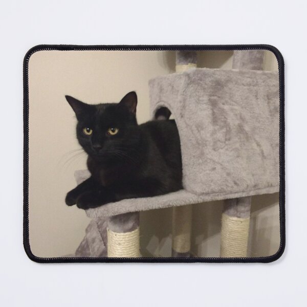 Item preview, #281 |☼| Alfie In The Arch - Shot 1 (Cats) designed and sold by Naean H.F. (Nez Man).