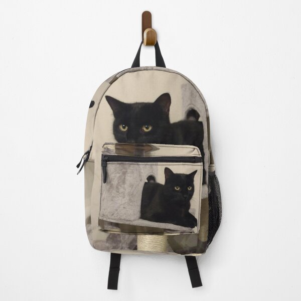 Item preview, #281 |☼| Alfie In The Arch - Shot 1 (Cats) designed and sold by Naean H.F. (Nez Man).