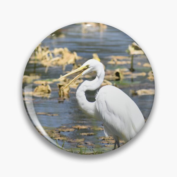 Item preview, Great Egret, Open Beak designed and sold by Kathleen Brant.