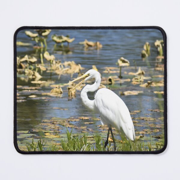 Item preview, Great Egret, Open Beak designed and sold by Kathleen Brant.