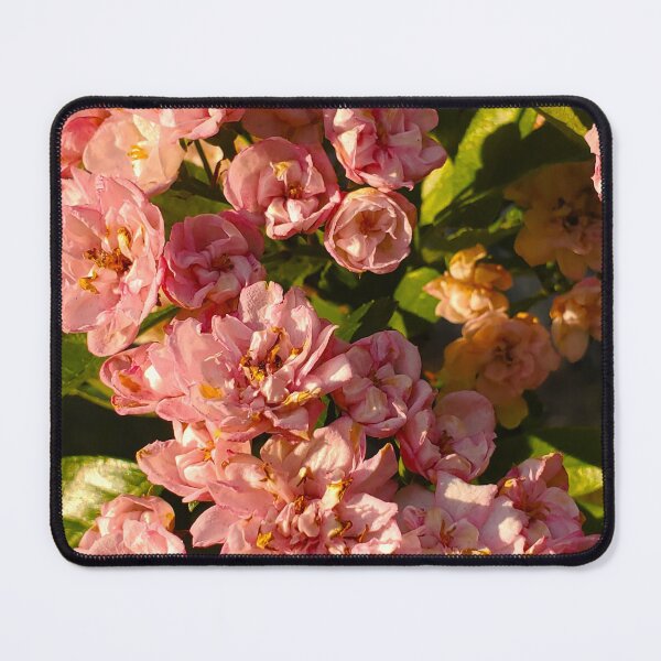 Item preview, Common Hawthorn Flowers designed and sold by etherealwonders.