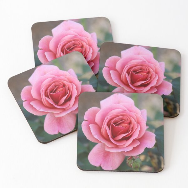Item preview, Pink Rose designed and sold by STHogan.