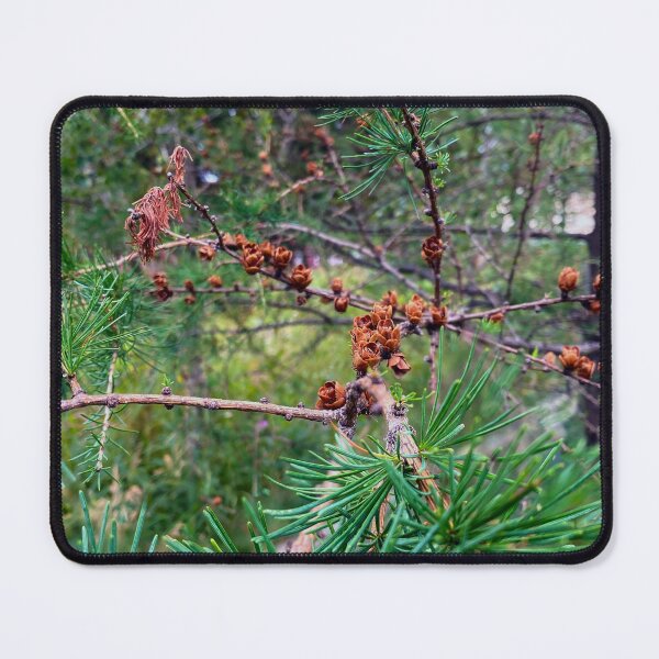 Item preview, Tamarack  designed and sold by Wildfirex14x.