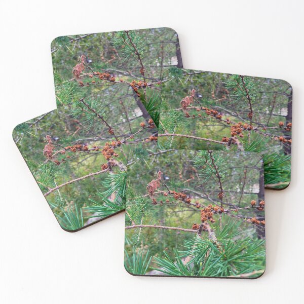 Item preview, Tamarack  designed and sold by Wildfirex14x.