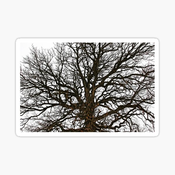 Item preview, Winter Oak designed and sold by Debbie Oppermann.