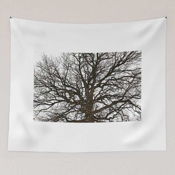 Item preview, Winter Oak designed and sold by Debbie Oppermann.