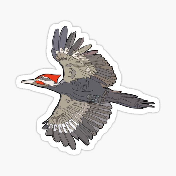 Item preview, Pileated Woodpecker designed and sold by chrisedmondson.
