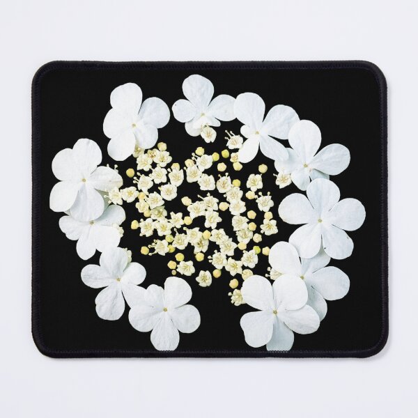 Item preview, Viburnum Sargentii, Viburnum opulus var. calvescens. White Cluster designed and sold by Shapes-Mania.