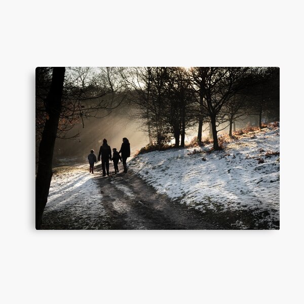 Winter Walk Canvas Print