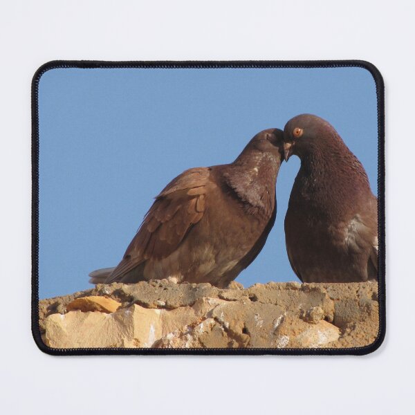 Item preview, Love Birds, Tunisia, Photograph by Noora Elkoussy designed and sold by Noora Elkoussy.
