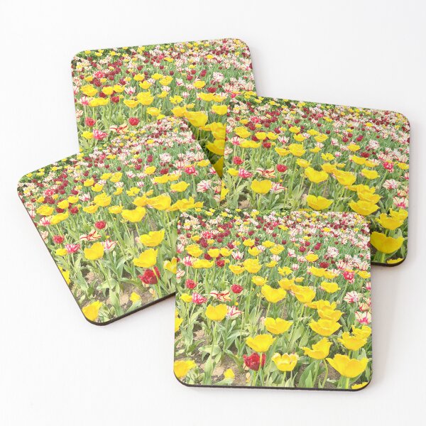 Item preview, Tulips in bloom designed and sold by AnnSMac.