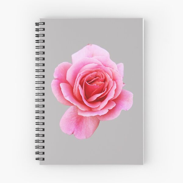 Item preview, Pink Rose designed and sold by STHogan2.