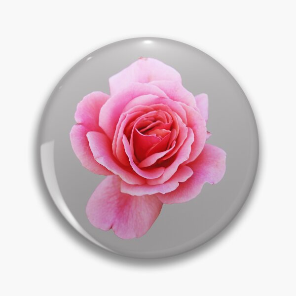 Item preview, Pink Rose designed and sold by STHogan2.