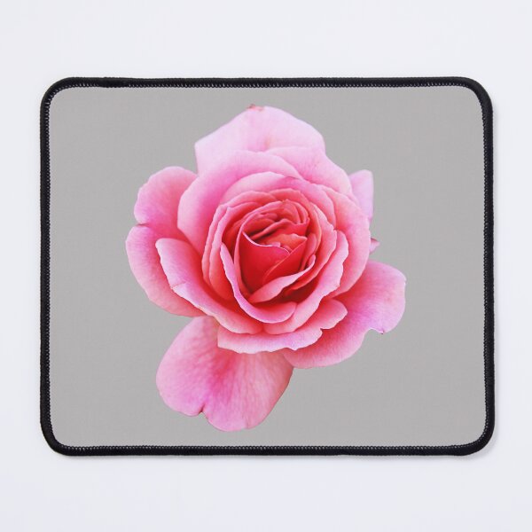 Item preview, Pink Rose designed and sold by STHogan2.
