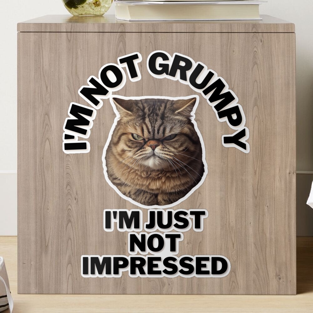 not impressed grumpy cat gif