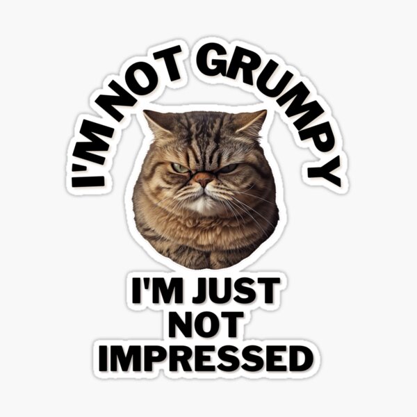 not impressed grumpy cat gif