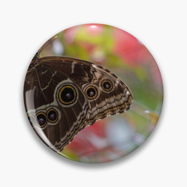 Item preview, Blue morpho butterfly designed and sold by pietrofoto.