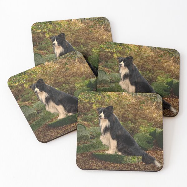 Item preview, Border Collie designed and sold by Alisonchambers2.