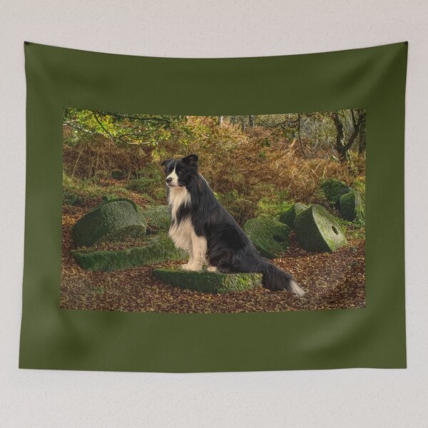 Item preview, Border Collie designed and sold by Alisonchambers2.