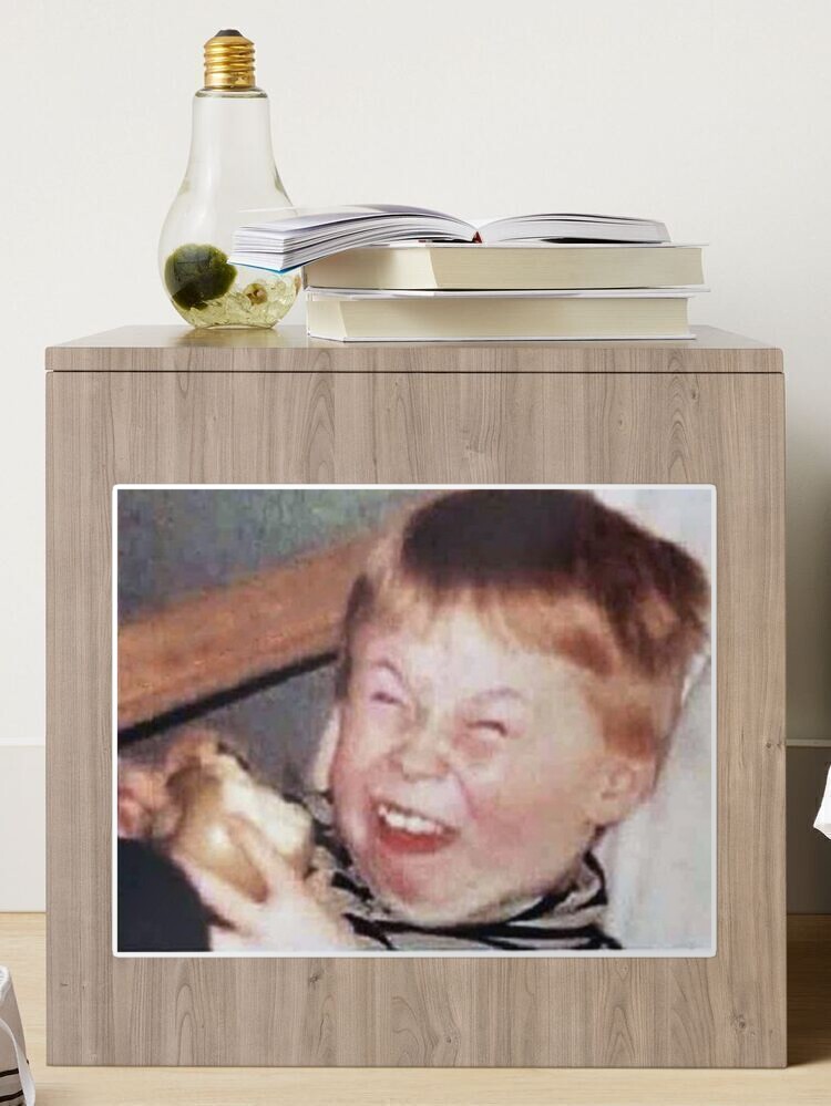 Little Kid Redhead Fat Laughing Mocking Funny Meme Face Laptop Sleeve for  Sale by TheMemePlug