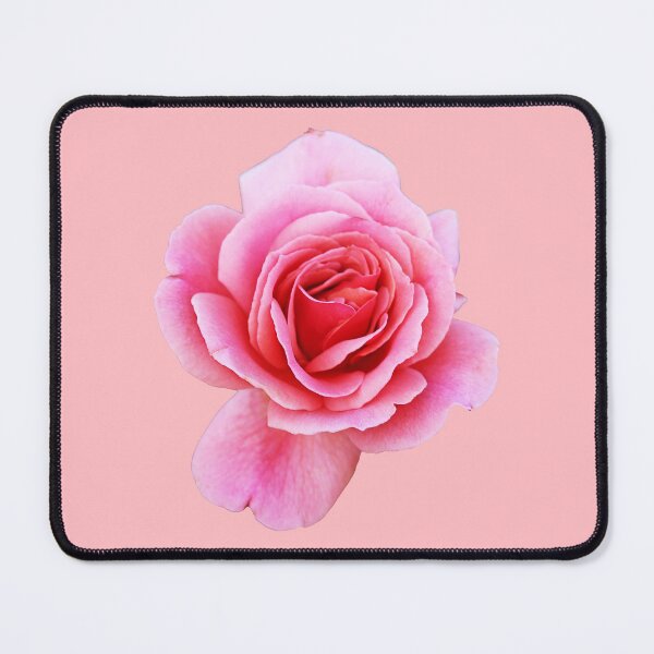Item preview, Pink Rose designed and sold by STHogan2.