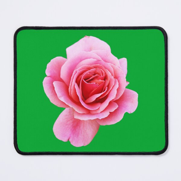 Item preview, Pink Rose designed and sold by STHogan2.