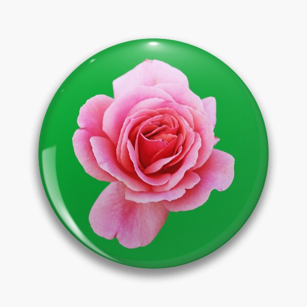 Item preview, Pink Rose designed and sold by STHogan2.