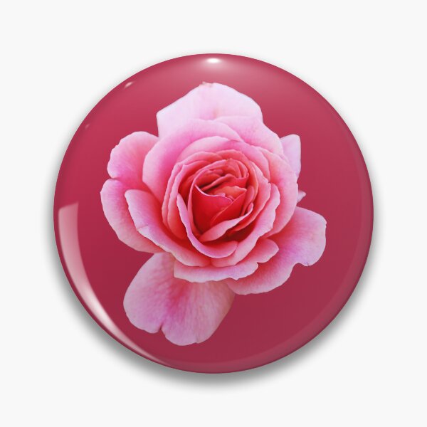 Item preview, Pink Rose designed and sold by STHogan2.
