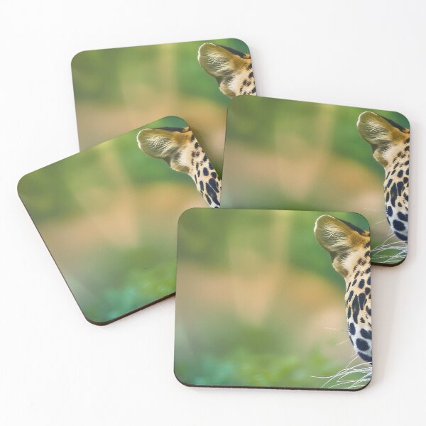 Item preview, Stalking the Majestic Big Cat - Jaguar designed and sold by libanmax.