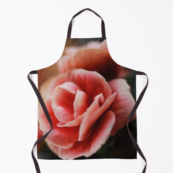 Item preview, Deep red, pink and white-tipped Begonia / Begonias designed and sold by captiveworld.