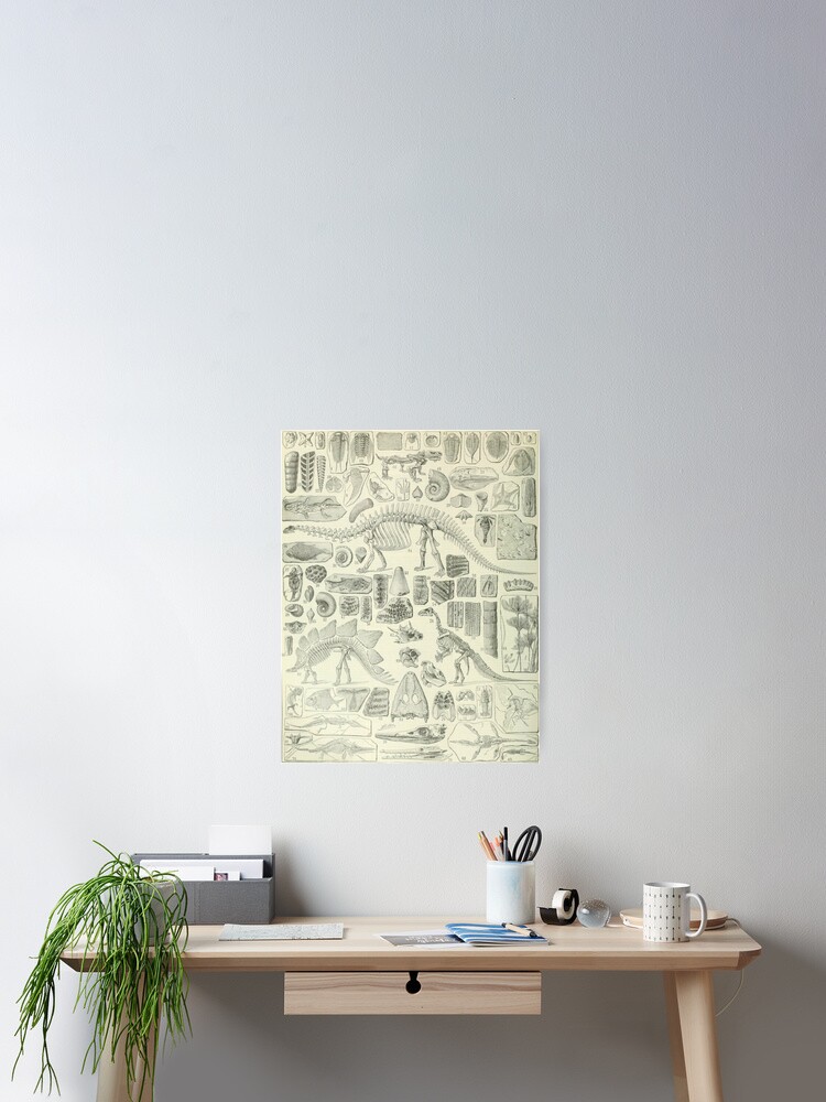 Thumbnail 2 of 3, Poster, Fossil Chart designed and sold by bluespecsstudio.