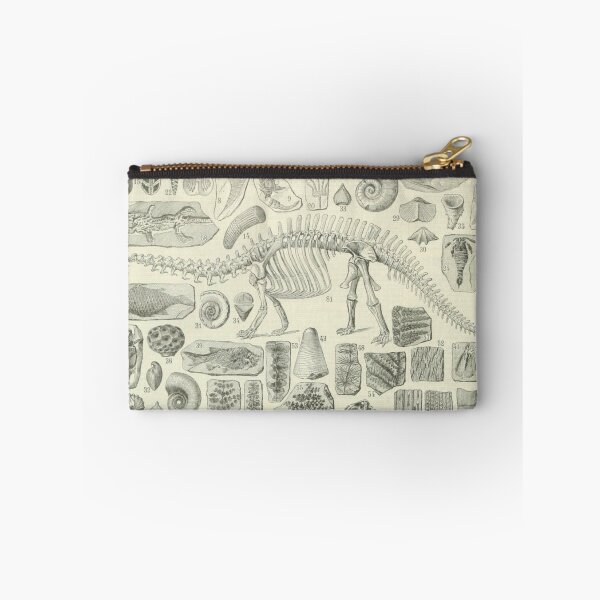 Item preview, Fossil Chart designed and sold by BlueSpecsStudio.
