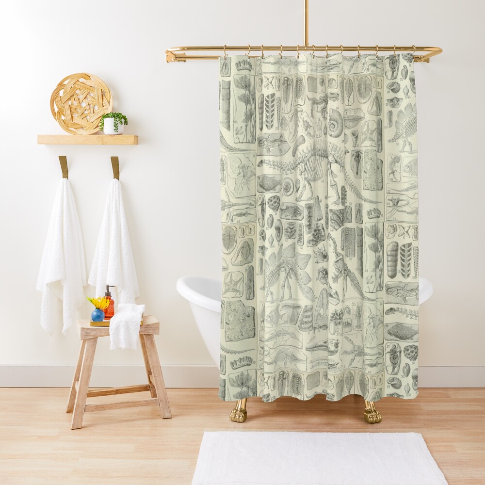 Fossil Chart Shower Curtain