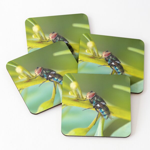 Item preview, Blue Bottle Fly 2 designed and sold by Jacquiamber.